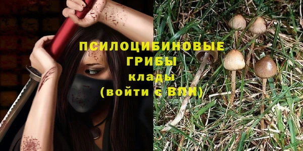 таблы Алзамай