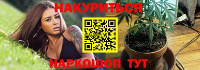 трава Новодвинск