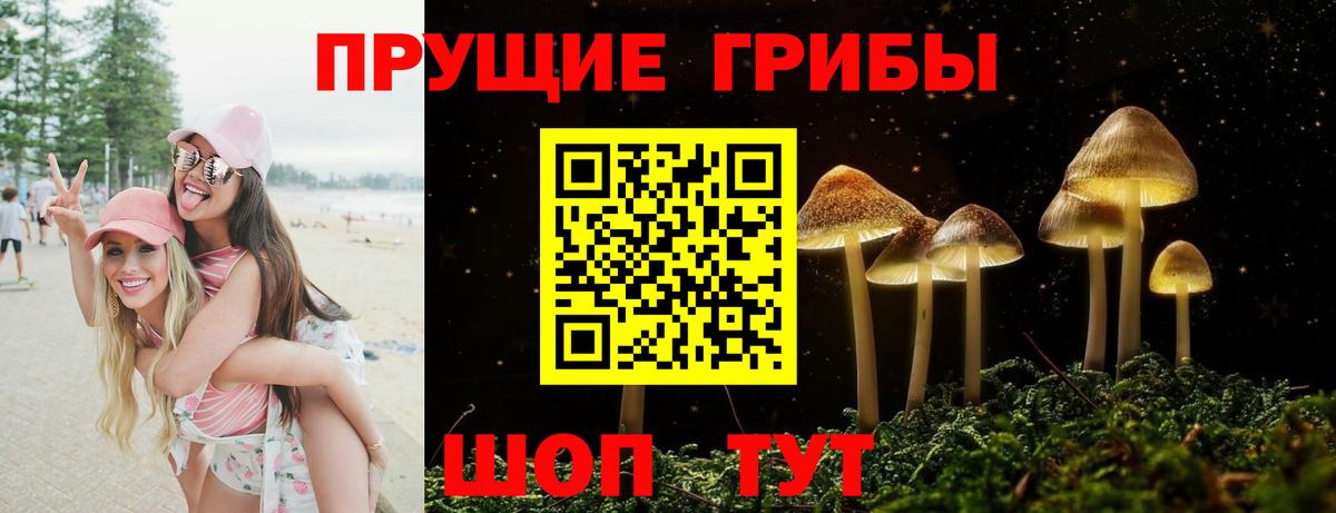 Сургут  Галлюциногенные грибы мицелий  Псилоцибиновые грибы мицелий  закладки  Вход с VPN 